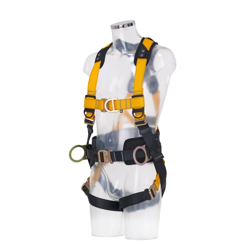 Series 4-Point Harness