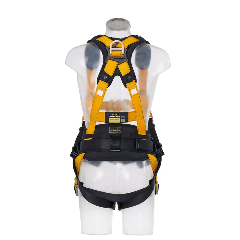 Series 4-Point Harness