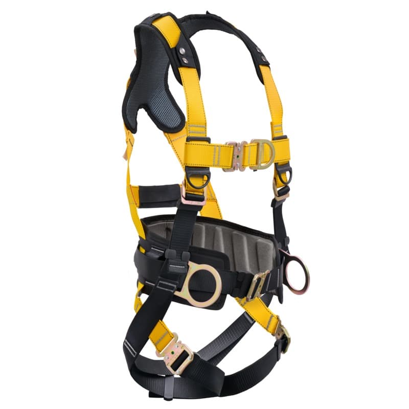 Series 4-Point Harness
